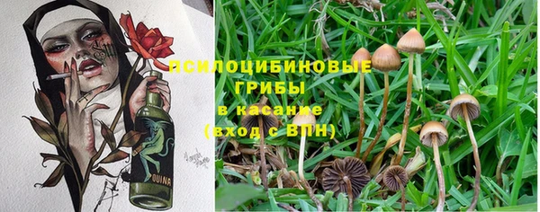 круглые Алзамай