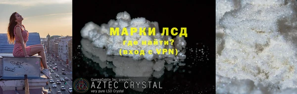 СК Алексин