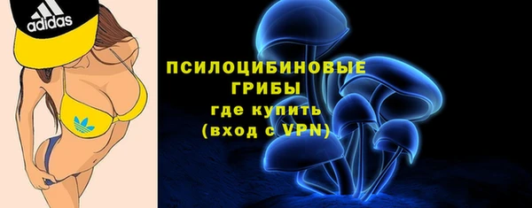 круглые Алзамай