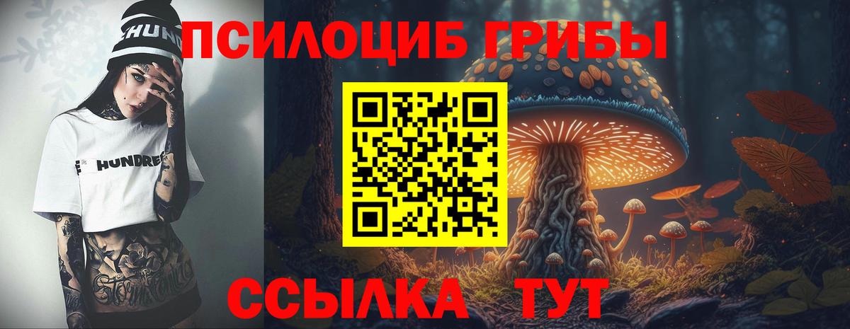 Галлюциногенные грибы мицелий Апатиты